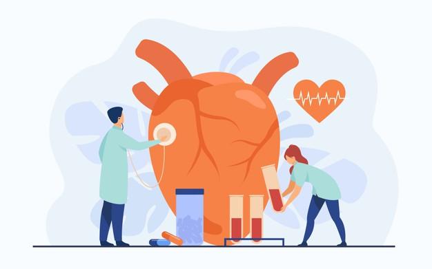 Cardiologists examining heart with stethoscope and blood samples in lab tubes among pills and heartbeat diagram. vector illustration for cardiology, medical examination, heart disease concept Free Vector