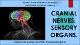 Cranial nerves. . sensory organs_general medicine. pptx.pdf.jpg