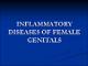 Inflamation_infertility.pdf.jpg