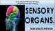 Sensory organs. dentistry.pdf.jpg